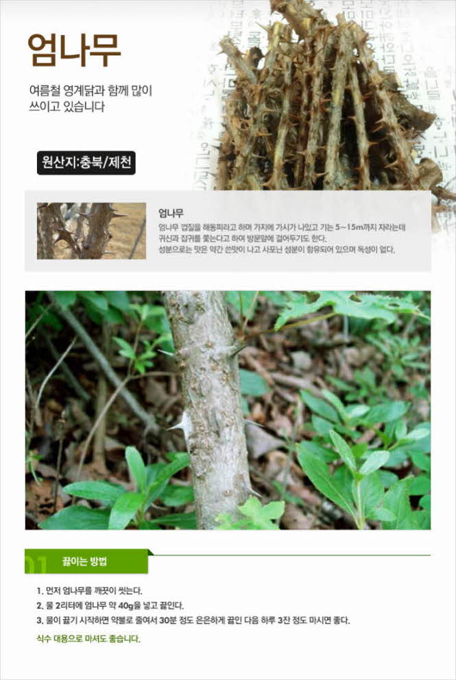 꾸미기_국내산(충북 제천) 엄나무 1단 (약 350g) (음나무,해동목,자추목)1.jpg