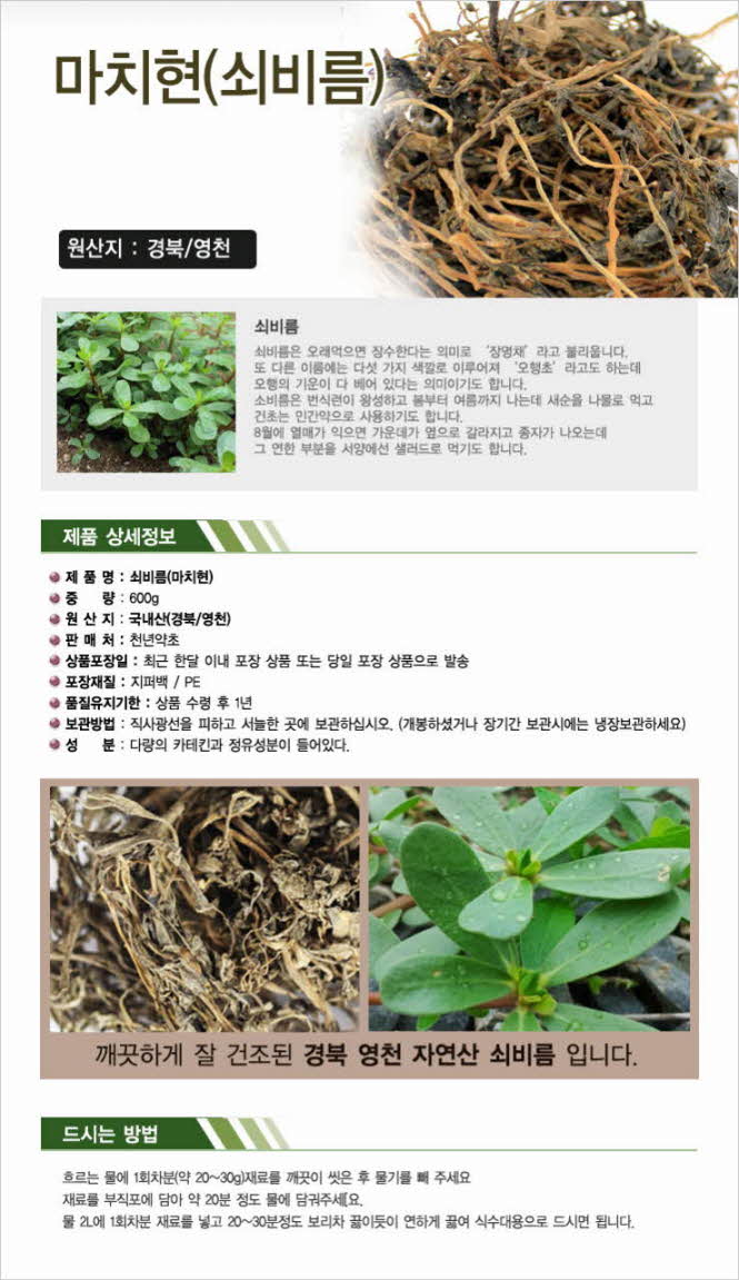 꾸미기_국내산(경북 영천) 쇠비름 300g (마치현,오행초)1.jpg