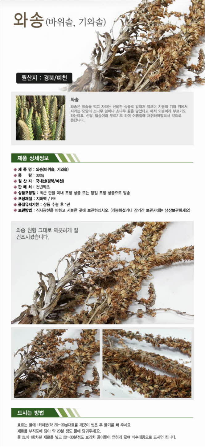 꾸미기_국내산100%(경북 예천) 와송 300g(바위솔,기와솔)1.jpg