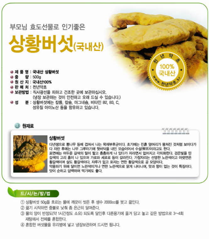 꾸미기_[고급포장]국내산 (노란색)상황버섯 500g1.jpg