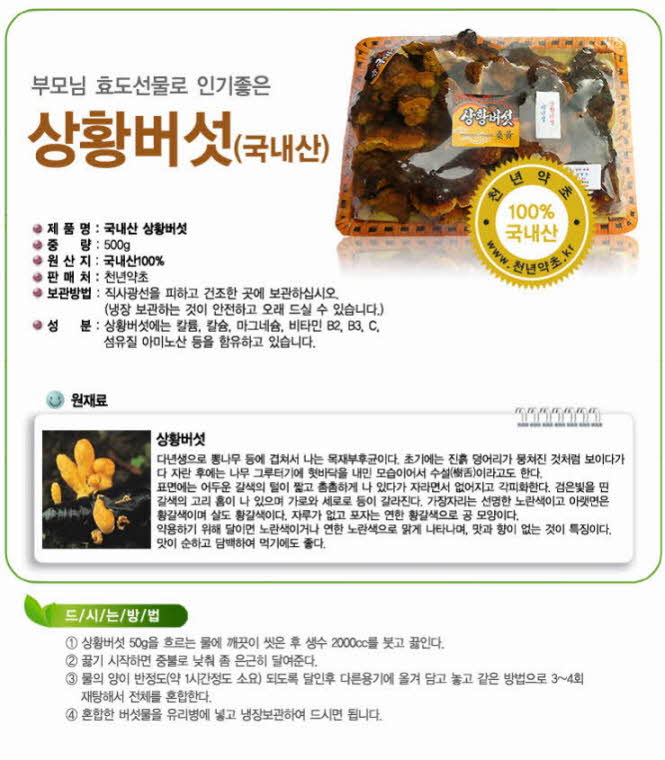 꾸미기_[고급포장]국내산 (갈색)상황버섯 500g1.jpg