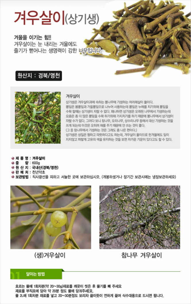 꾸미기_자연산(경북 영천) 겨우살이 600g (상기생)1.jpg