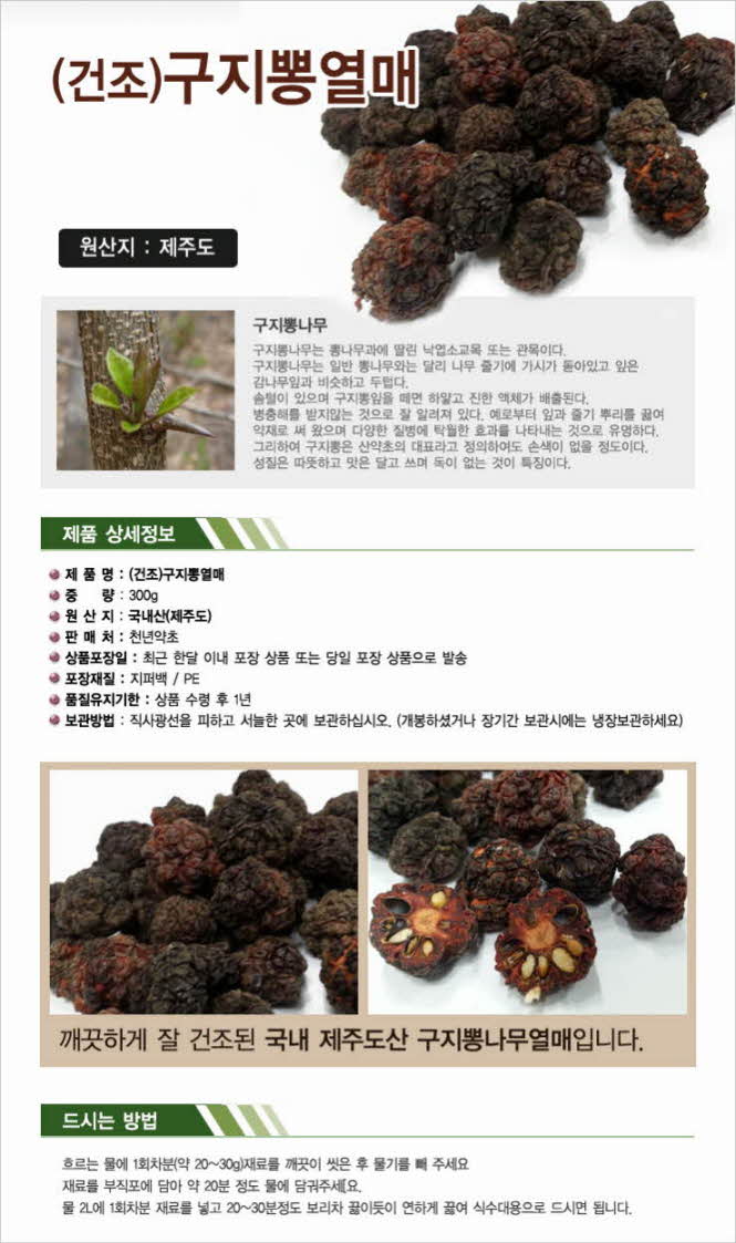꾸미기_국내산(제주도) 자연산 구지뽕열매 300g (구지뽕나무열매, 꾸지뽕열매)1.jpg