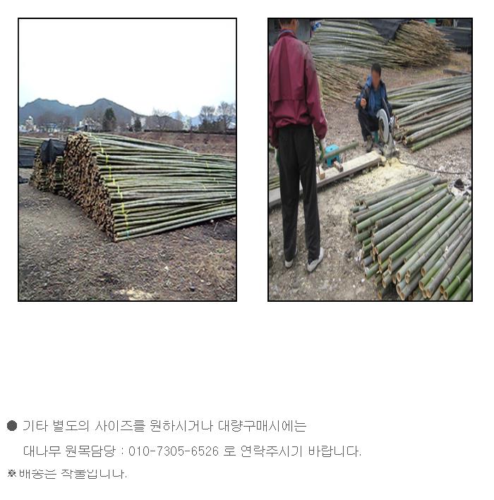 대나무 원목(직경2~3cm길이3m10개1묶음)1.JPG