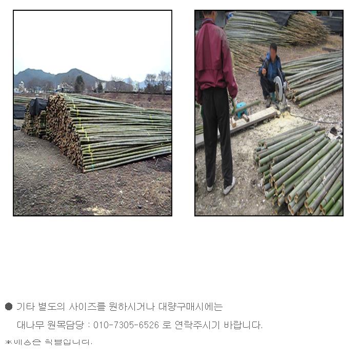대나무 원목(직경3~4cm길이3m8개1묶음)1.JPG