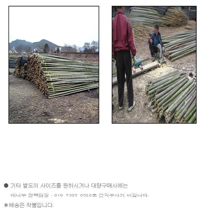 대나무원목(직경5~6cm길이3m7개1묶음)1.JPG