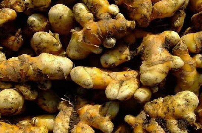 사본 -3034798959_eOnJUVSh_EC9AB8EAB888-EB8B9803.jpg