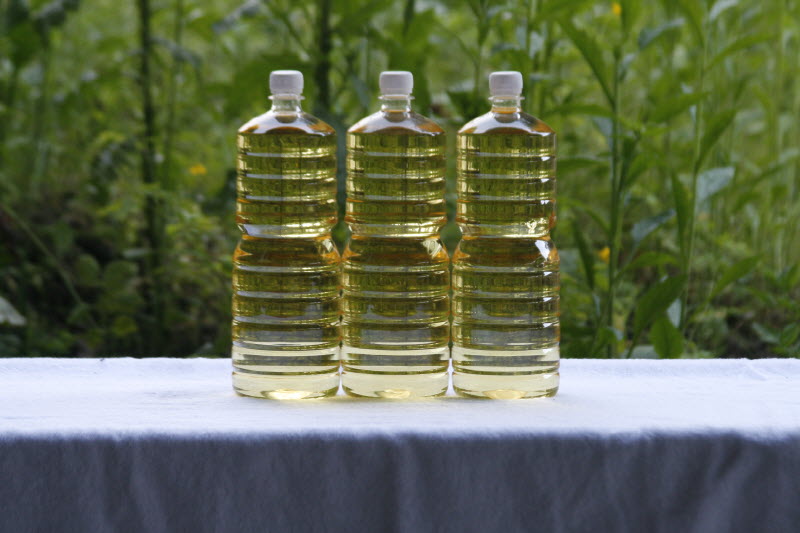 2019-08-01 11;30;06.jpg